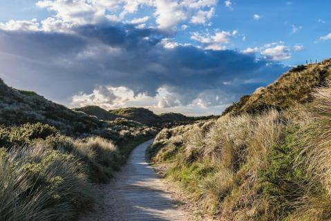 murlough national nature reserve
