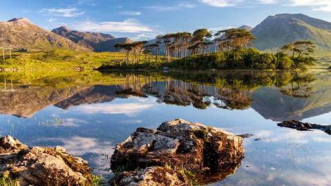 mirror image of lake, trees and mountains in connemara