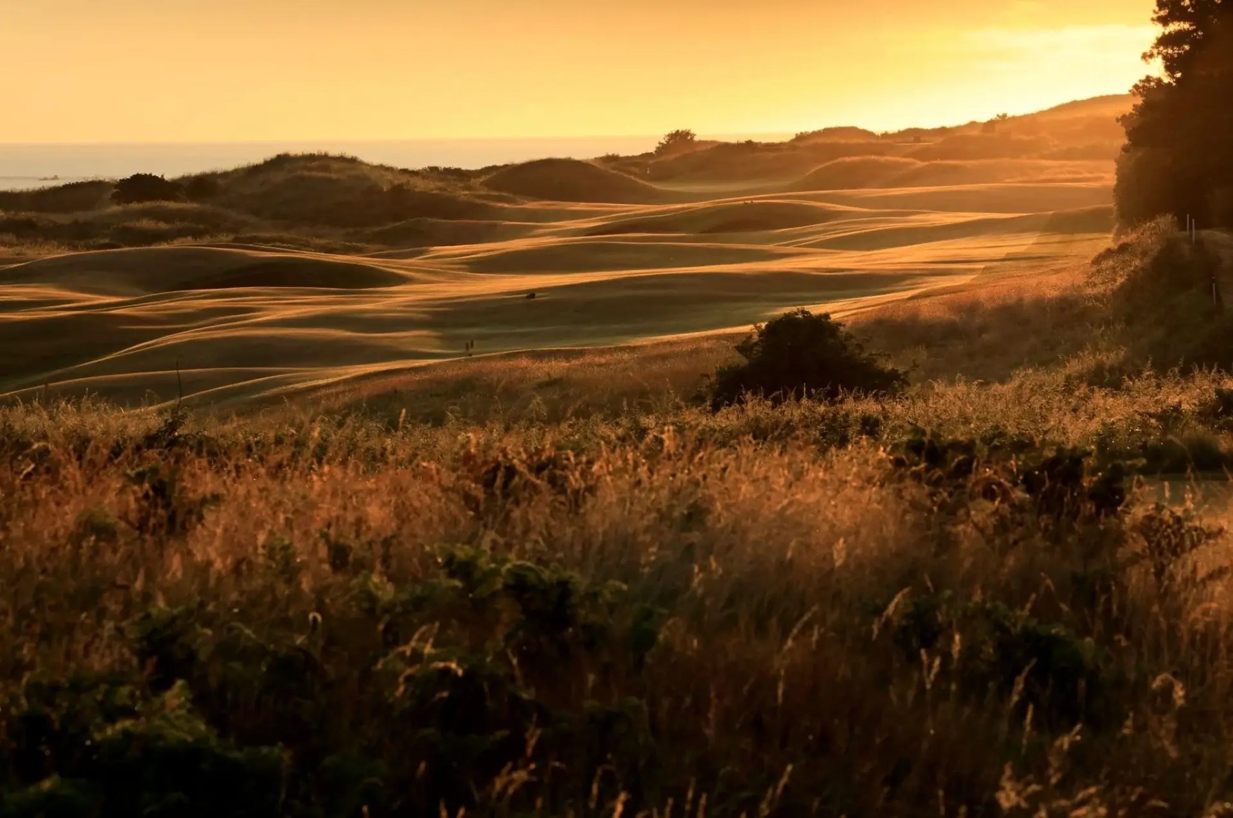 royal portrush golf club at sunset